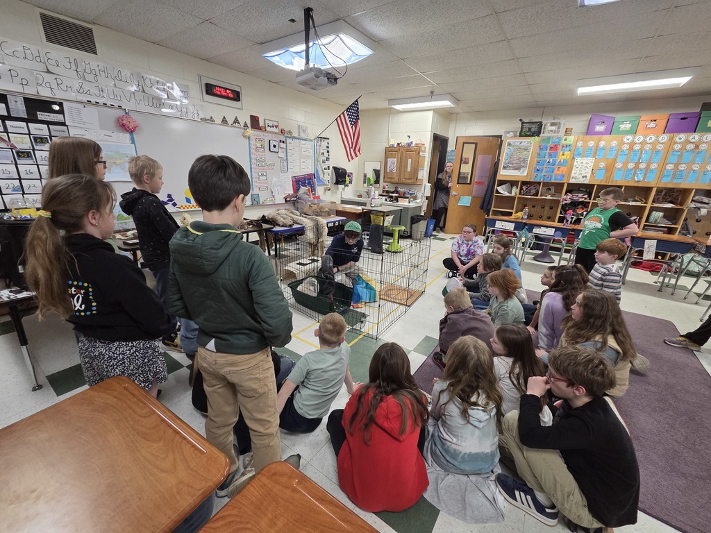 Chewonki visited our GSB third grade classrooms to teach us about predators and prey. 