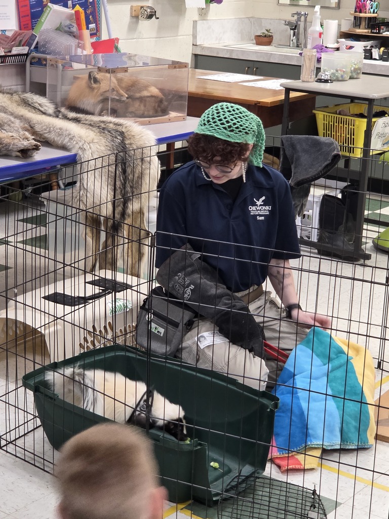 Chewonki visited our GSB third grade classrooms to teach us about predators and prey. 