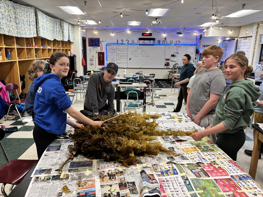GSB 5th graders cooking with seaweed that they grew themselves!