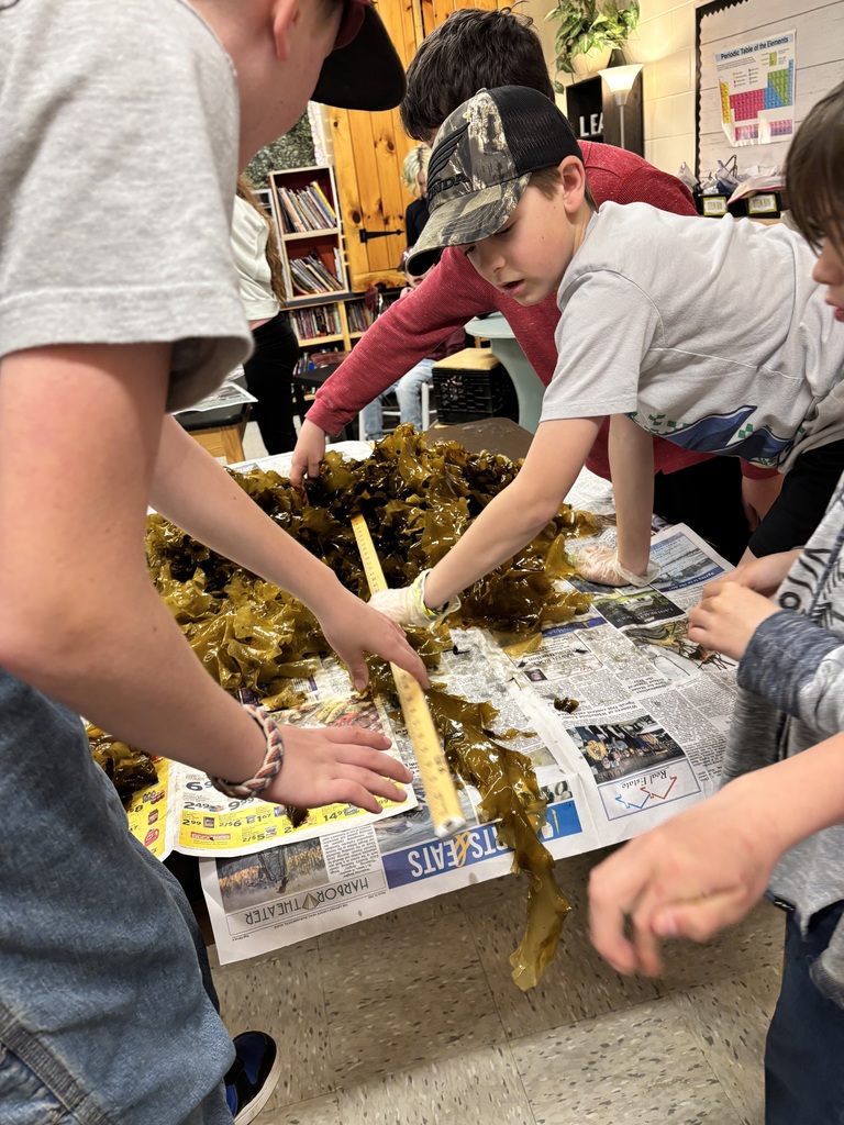 GSB 5th graders cooking with seaweed that they grew themselves!