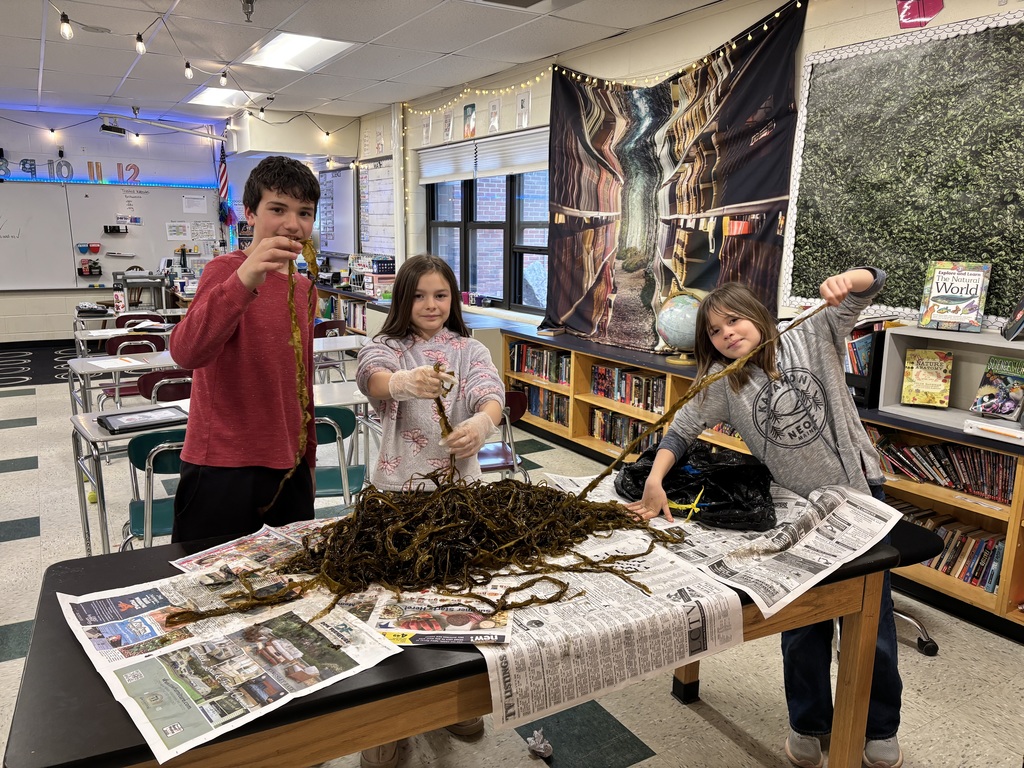 GSB 5th graders cooking with seaweed that they grew themselves!