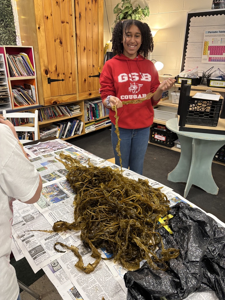 GSB 5th graders cooking with seaweed that they grew themselves!
