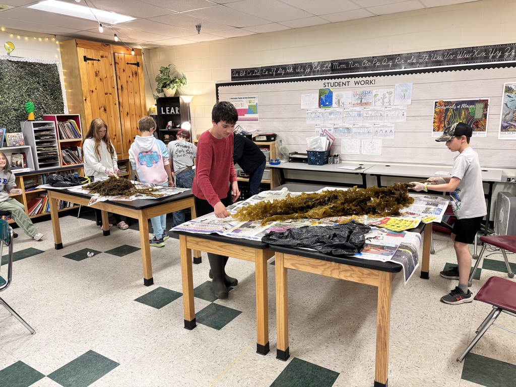 GSB 5th graders cooking with seaweed that they grew themselves!
