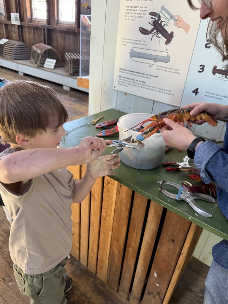 Pre-K visited Maine Maritime Museum and learned all about lobsters and the lobsering in Maine. They also enjoyed the Chris Van Dusen exhibit and playing on the museums outdoor pirate's ship.
