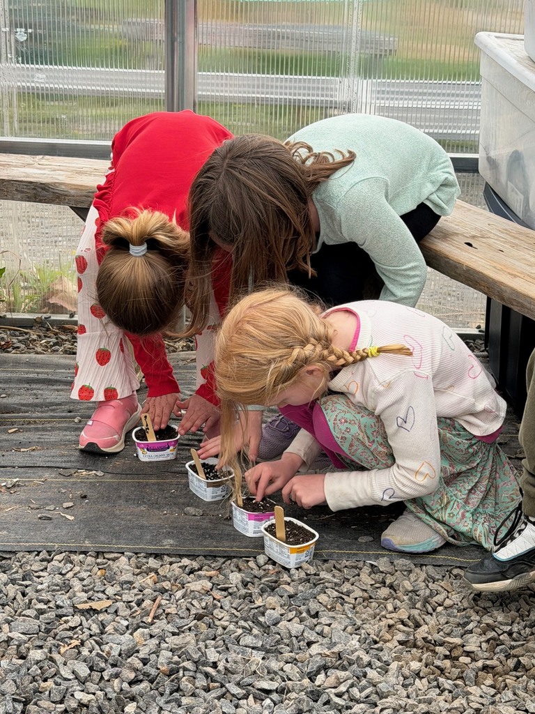 Mrs. Verney’s Class planted zucchini and sunflower seeds in the greenhouse with Ms. Hedda this week!