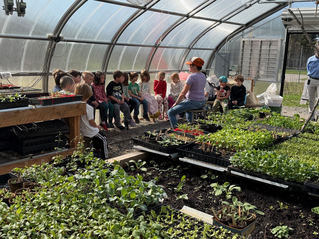 Mrs. Verney’s Class planted zucchini and sunflower seeds in the greenhouse with Ms. Hedda this week!