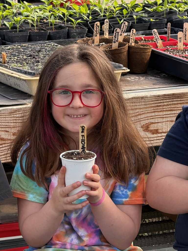 Mrs. Verney’s Class planted zucchini and sunflower seeds in the greenhouse with Ms. Hedda this week!
