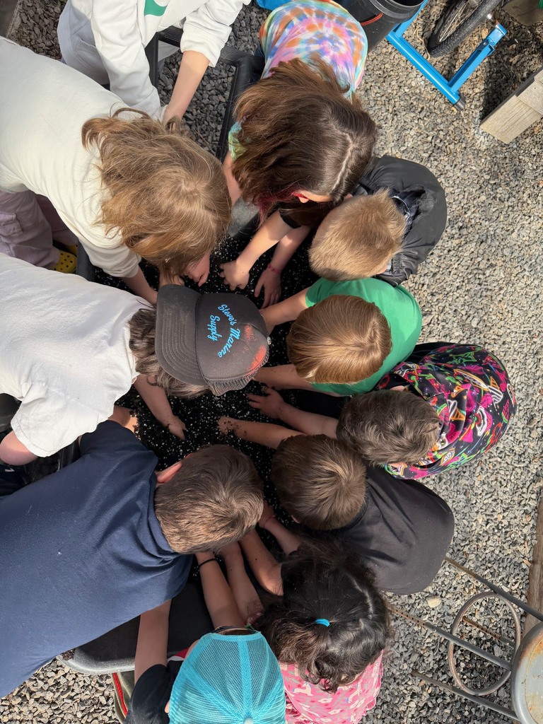 Mrs. Verney’s Class planted zucchini and sunflower seeds in the greenhouse with Ms. Hedda this week!