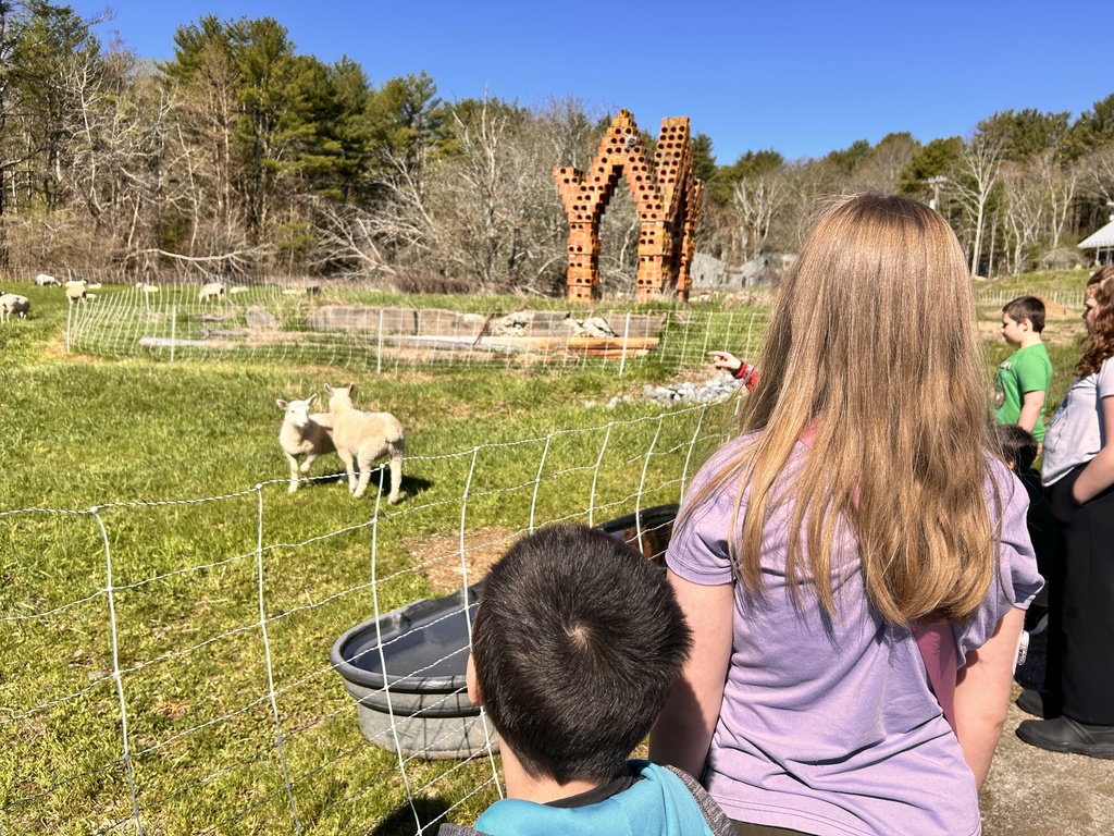 @strawsfarm