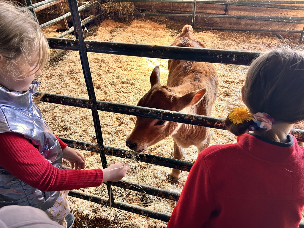 @strawsfarm