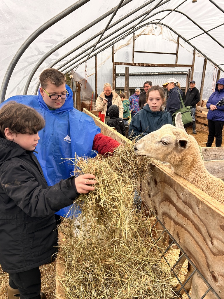 @strawsfarm