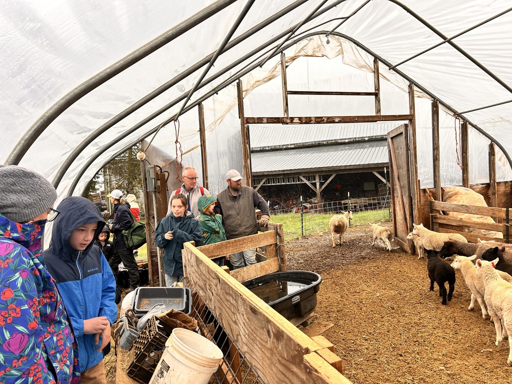 @strawsfarm