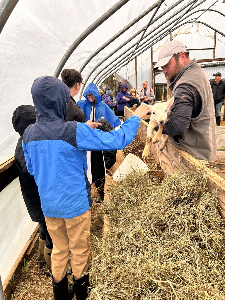 @strawsfarm