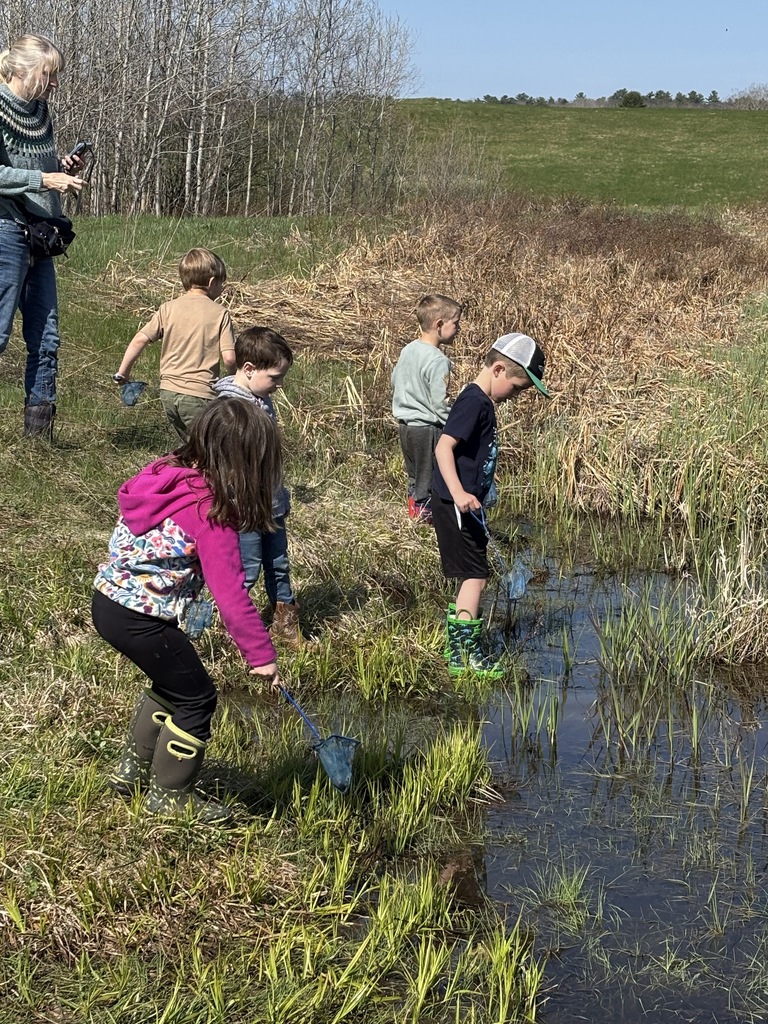 Pre-K explored pond life with Sarah from Coastal Rivers.