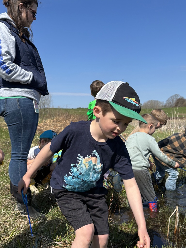 Pre-K explored pond life with Sarah from Coastal Rivers.