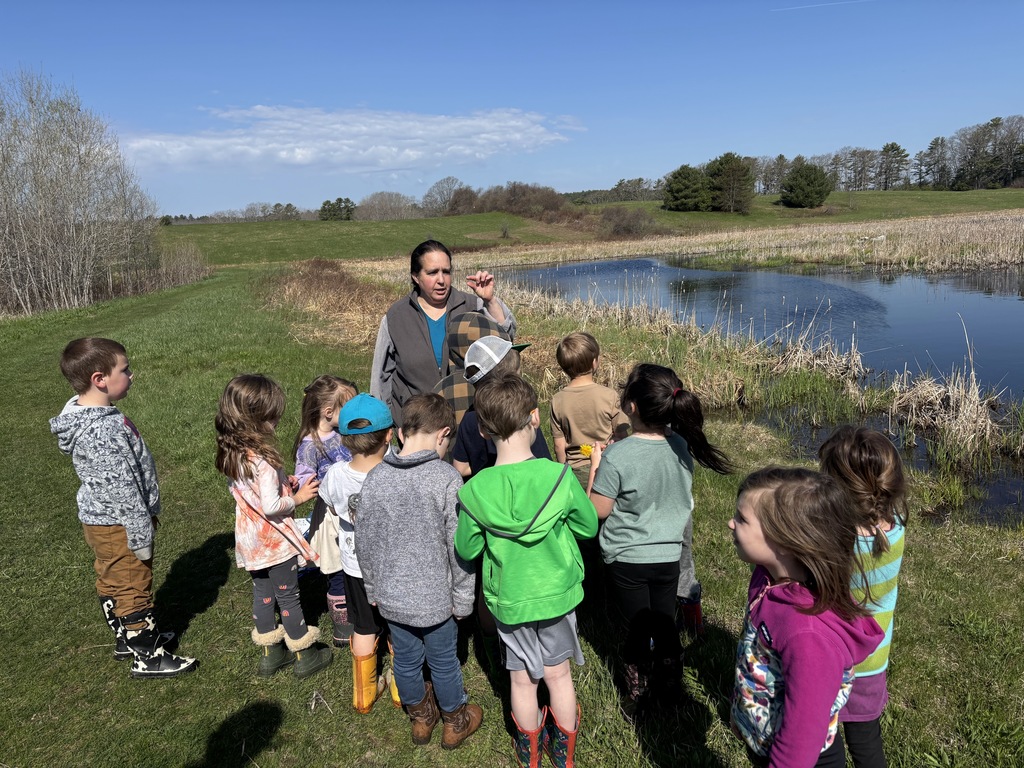Pre-K explored pond life with Sarah from Coastal Rivers.