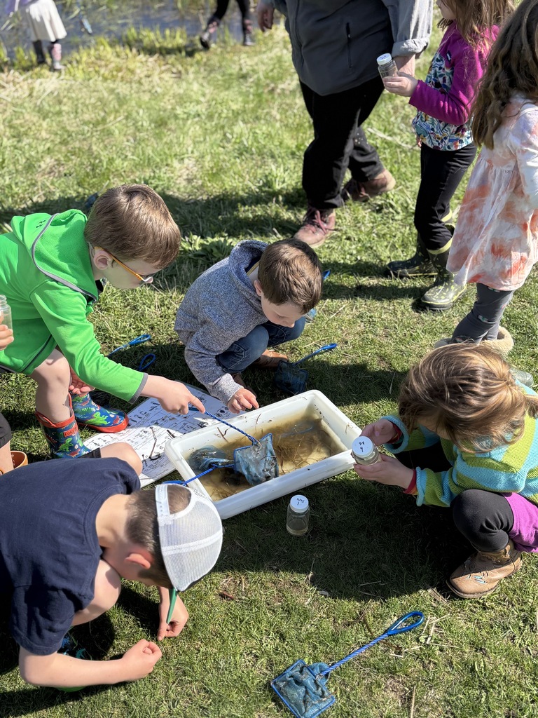 Pre-K explored pond life with Sarah from Coastal Rivers.