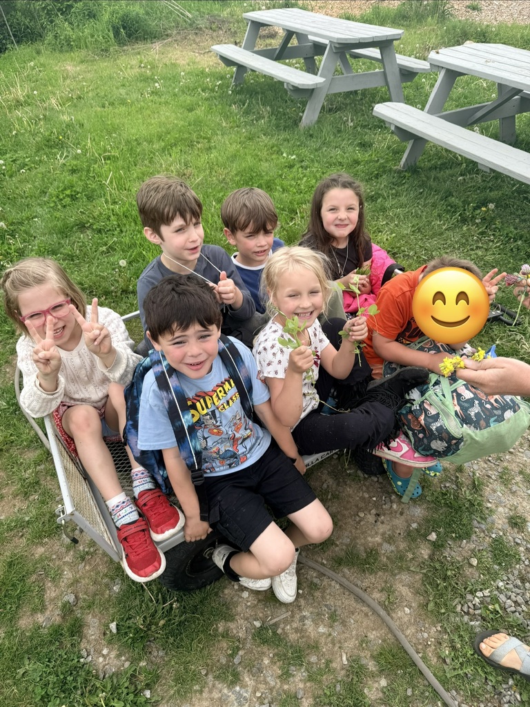 GSB Kindergarten shenanigans over the past few weeks. 😊