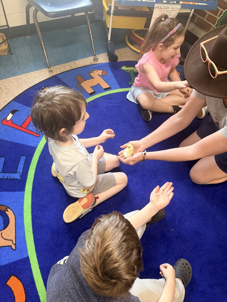 GSB Kindergarten shenanigans over the past few weeks. 😊