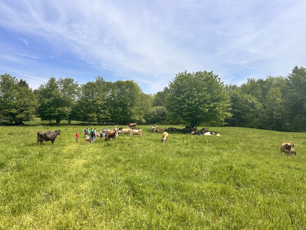 The Milkhouse Dairy Farm and Creamery in Monmouth gave 2nd graders a guided tour of their livestock barns and pastures