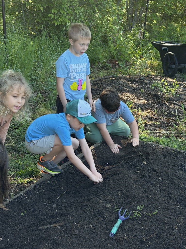 Mrs. Verney’s Class planted potatoes with Ms. Hedda during their final first grade Agriculture class!