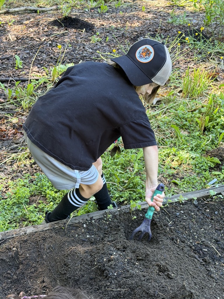 Mrs. Verney’s Class planted potatoes with Ms. Hedda during their final first grade Agriculture class!
