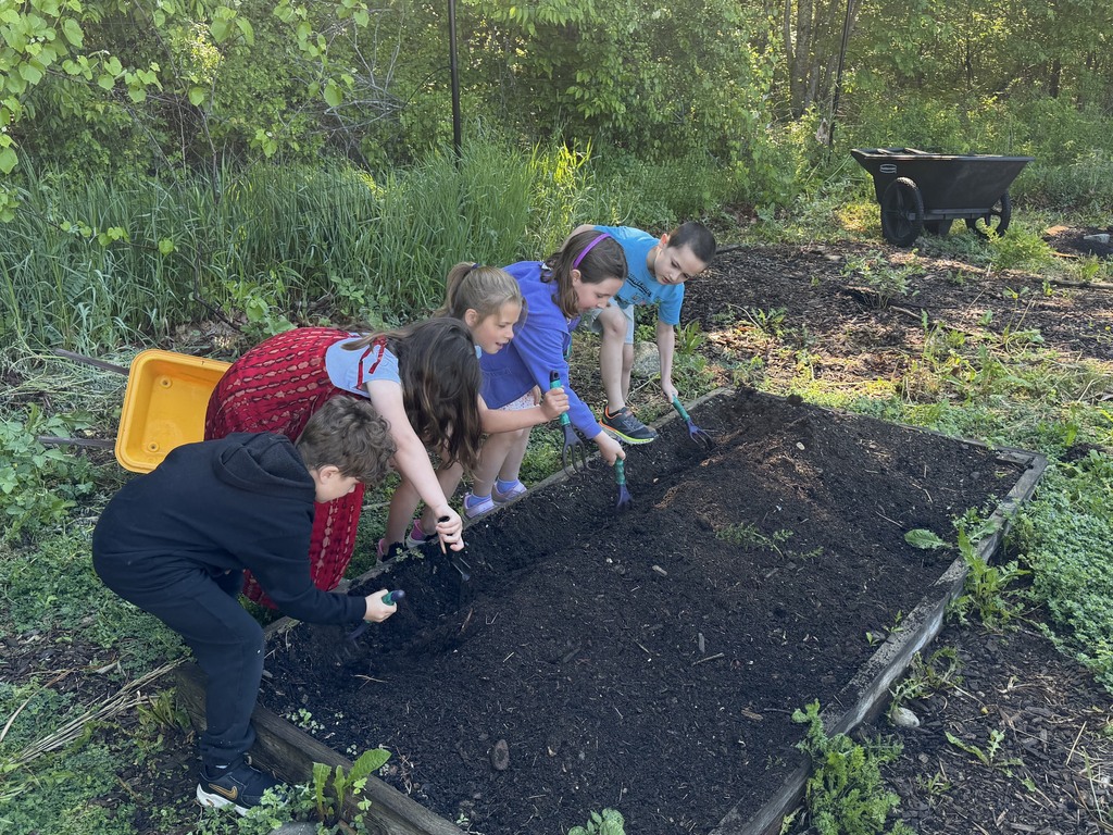 Mrs. Verney’s Class planted potatoes with Ms. Hedda during their final first grade Agriculture class!