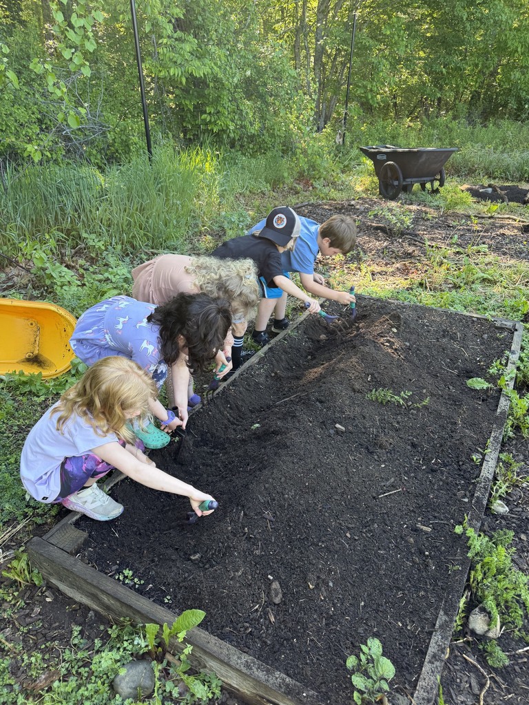 Mrs. Verney’s Class planted potatoes with Ms. Hedda during their final first grade Agriculture class!