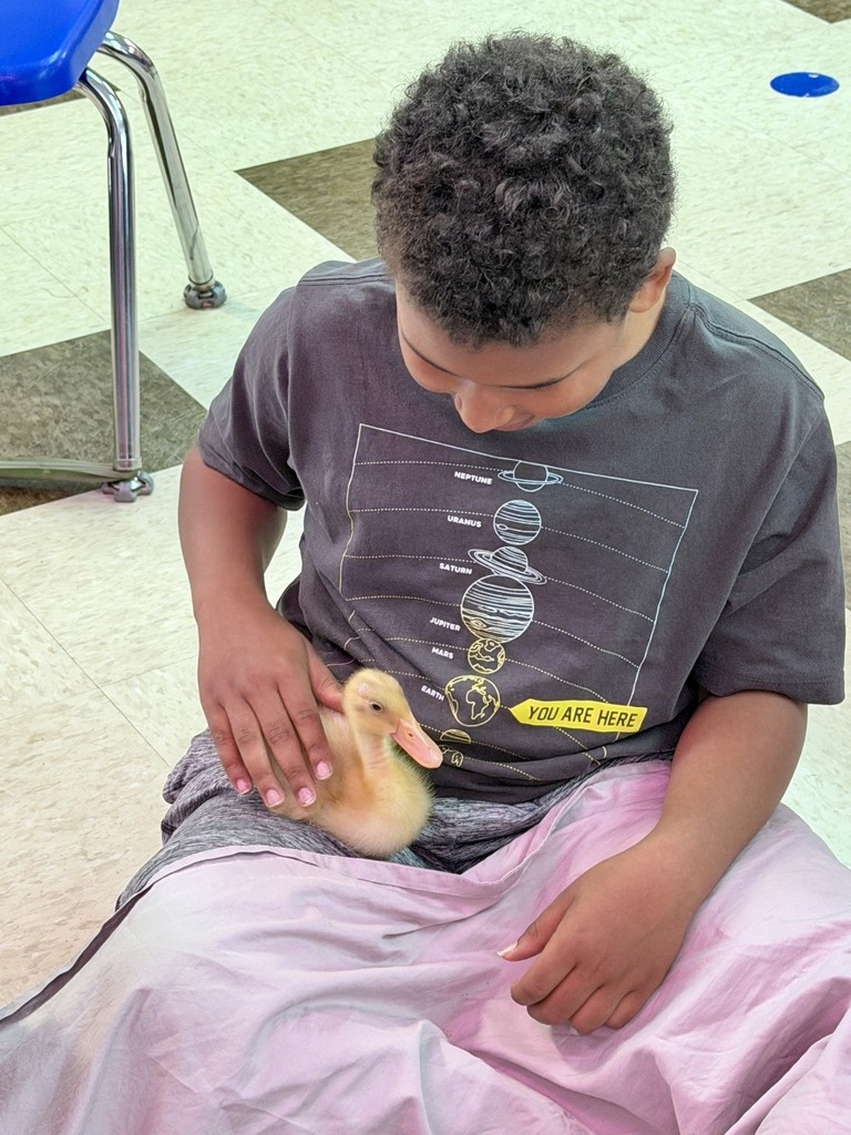 The ducklings came to visit Mrs. Flewelling’s 2nd graders!