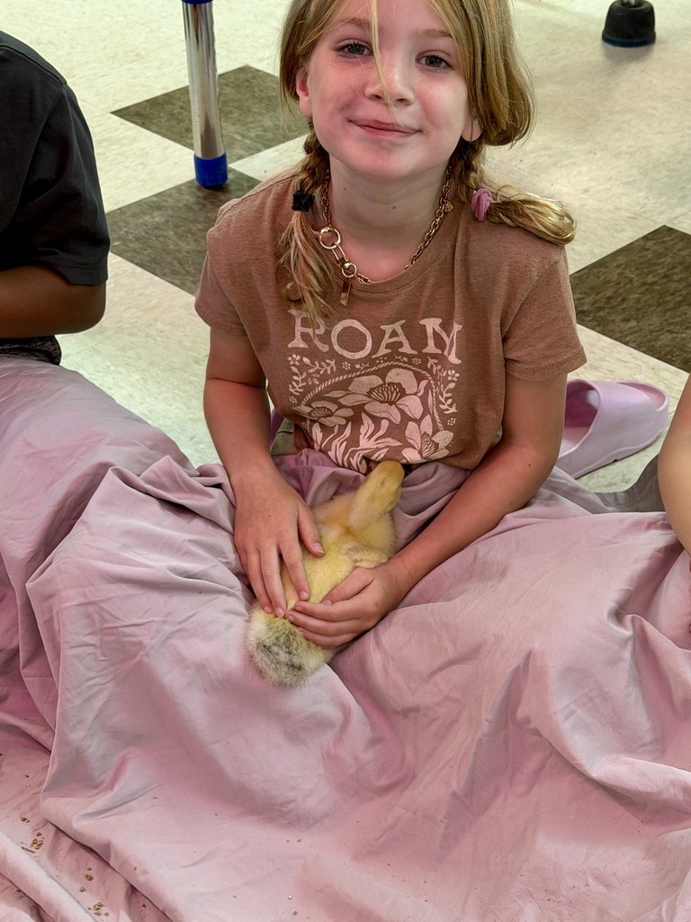 The ducklings came to visit Mrs. Flewelling’s 2nd graders!