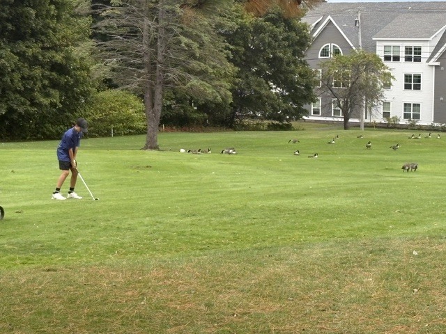 GSB Golf