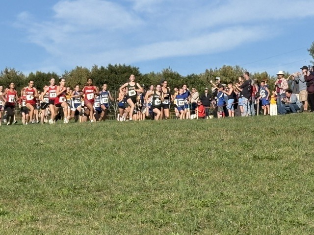 GSB X-C