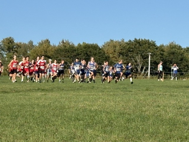 GSB X-C