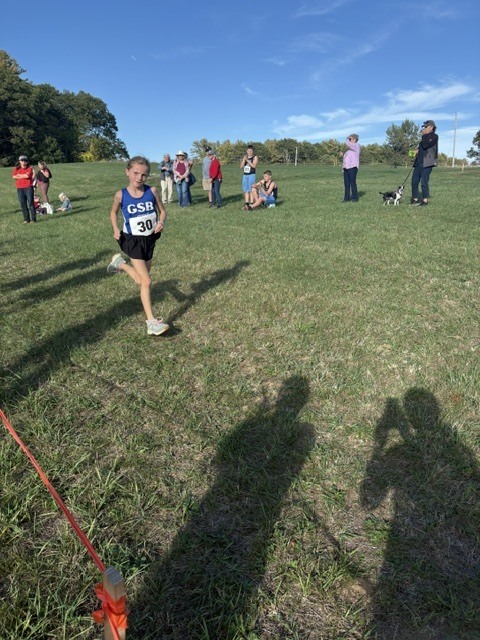 GSB X-C