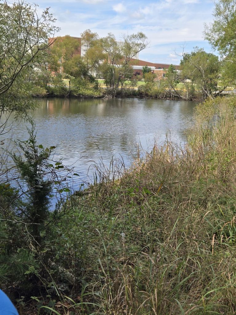 the AHS pond with school in the background