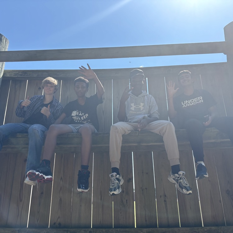 4 students sit on a wooden wall with the sun at their back