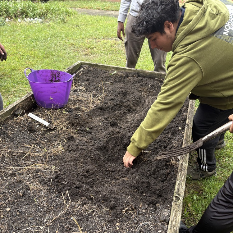 student digging in ground to get vegetable