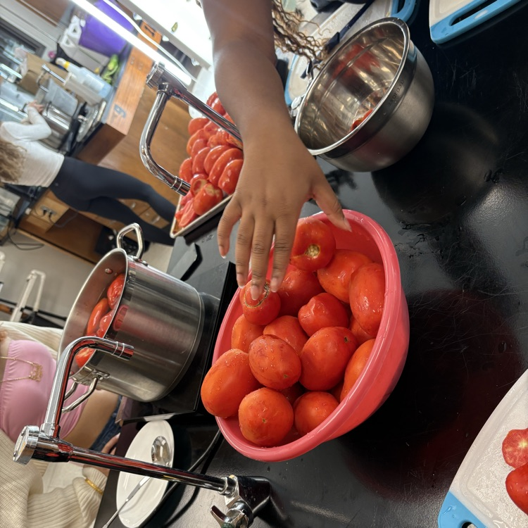 students reaching for tomatoes