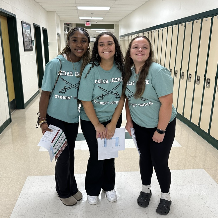 stuco bts night