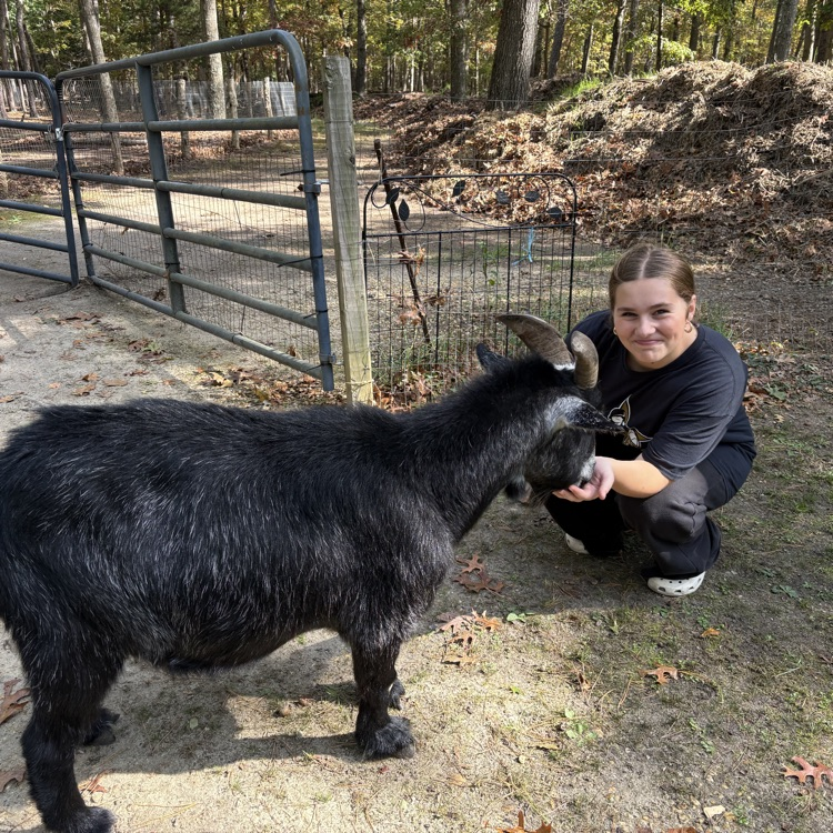 Wilbur meeting Wilbur