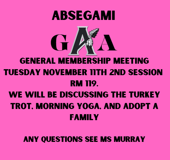 gaa meeting is on 11/11