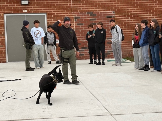 students watching police dog demo