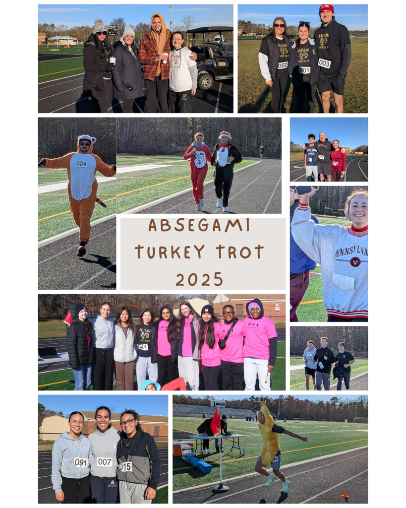 turkey trot collage