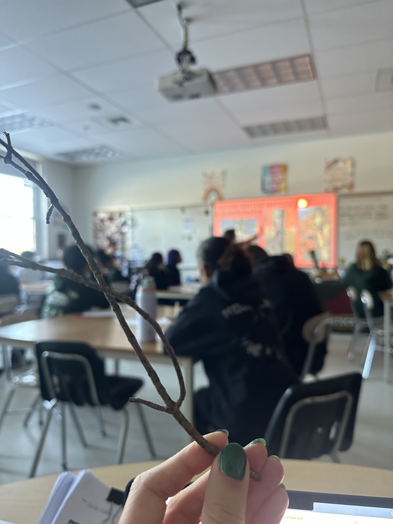 English 1 students had a presentation with the Stockton Maple Project!