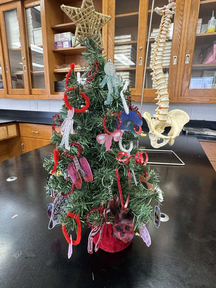 tree with ornaments