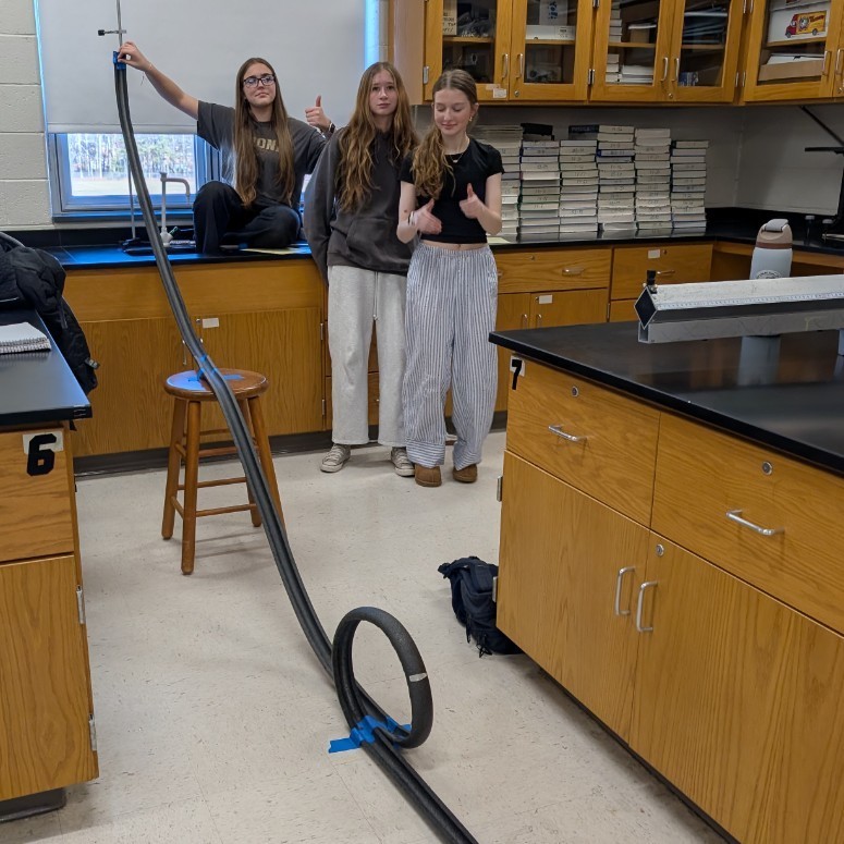 windows on the track 