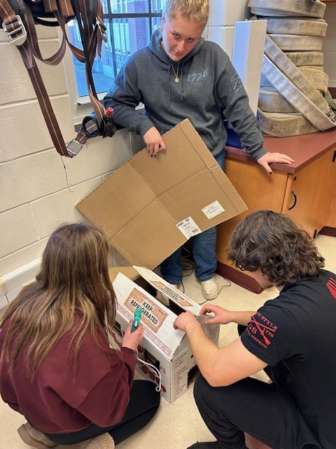 The firefighting students are building structures to predict fire behavior. 