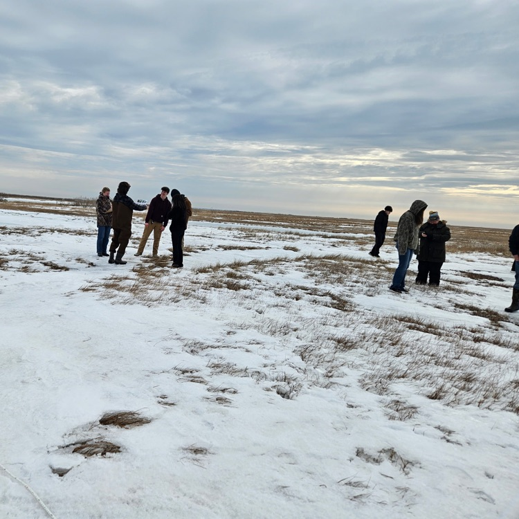 salt marsh data collection