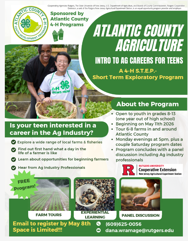 4-H