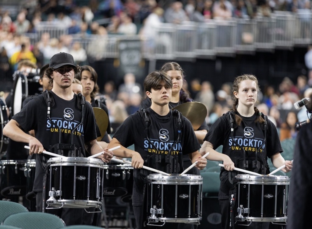 Snares